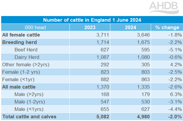 cattle population in England